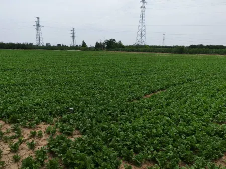 MEHOOD LESTLE Hotle Xianyang Qian County-speed Railway Station Отели рядом с достопримечательностью «Gulou»