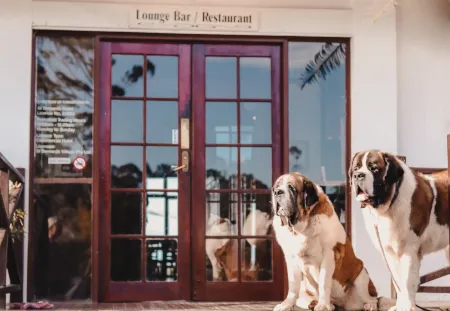 Edges by St Bernards Hotel