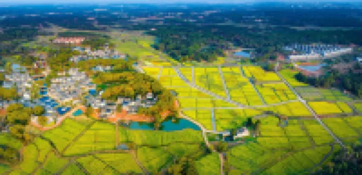 Ji'an Diaoyuan Shili Fangfei Village Hotels near Diaoyuan Ancient Village