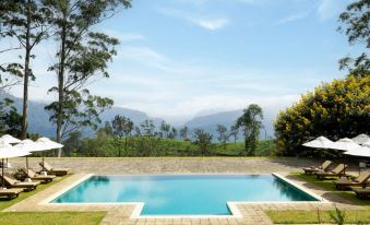 The Lavender House by Reveal