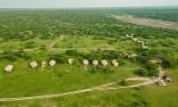 Kenzan Ndutu Camp Hotels in 