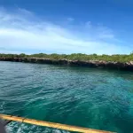 Mango Beach Hotel - Beach