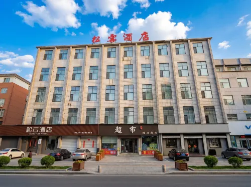Pine Villa Hotel - Business