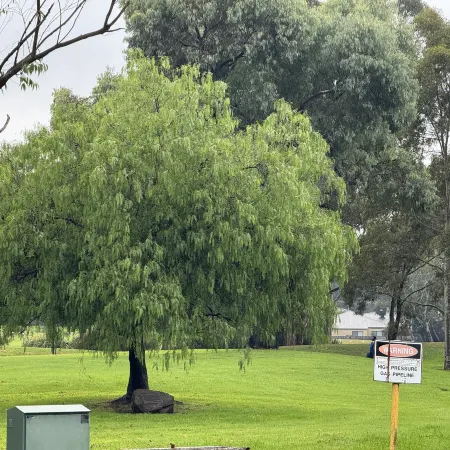 Sunny Nook Townhouse by Mooroolbark Train Stop Ground Floor Self Check-in