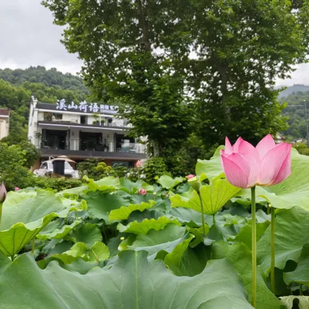 Xishan Heyü Homestay (Dayuan Cultural Park Branch), Jiuhua Mountain