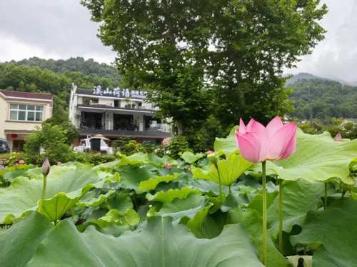 Xishan Heyü Homestay (Dayuan Cultural Park Branch), Jiuhua Mountain - Bintang 3