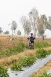 Suka Village - Parking