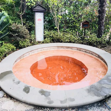 Xianhua Sandalwood International Hotel