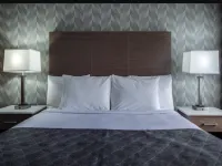 Monte Carlo Inn - Toronto Markham Hotels in Markham