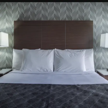 Monte Carlo Inn - Toronto Markham