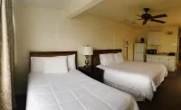 Hilo Reeds Bay Hotel Hotels in Hilo