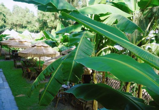 Island diary B & B (Shenzhen rose coast store)