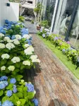 eighteen homestay - 빌라