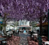 Azak Hotel - sarapan