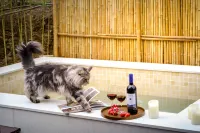 Anji Muyuan Mountain Villa Swimming Pool Coffee Family Vacation Stay