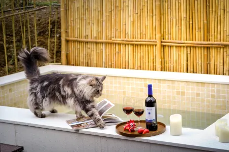 Anji Muyuan Mountain Villa Swimming Pool Coffee Family Vacation Stay Отели рядом с достопримечательностью «Zhejiang Institute of Technology (Anji Campus)»