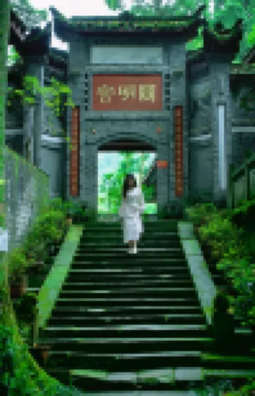 Qingcheng Mountain YINGXIGU Valley Forest Private Tang Cinema Hotel