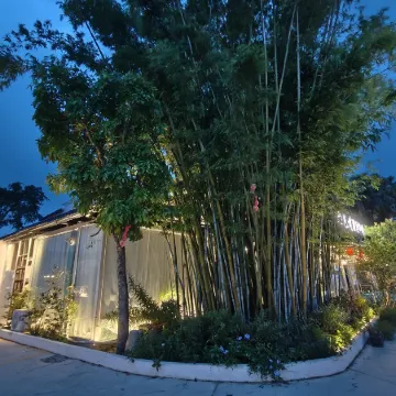The Story of Oversea Chinese's Hometown Homestay