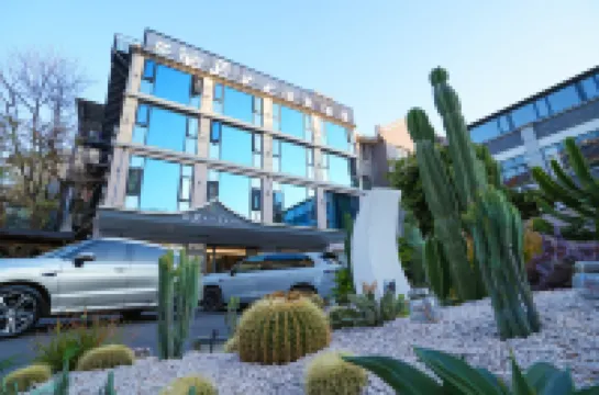 유화 예술 온천 호텔 (미러 후취안 워터 타운)