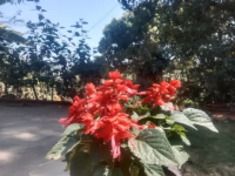 Devansh Villa