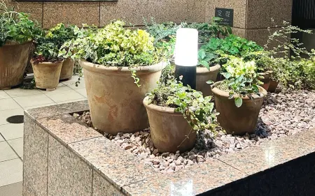 Toyoko Inn Omori