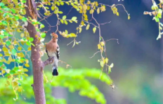 Bellevue Beach Nilaveli BY PARADISE COLLECTION Hotels in 