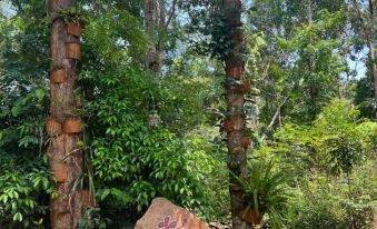 Dugong Bay Eco Resort Phu Quoc