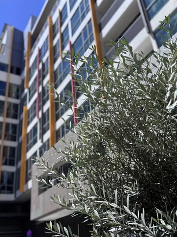 รูปภาพของบิซโซเทล พรีเมียร์ โฮเทล แอนด์ เรสซิเดนซ์