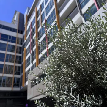 Bizotel Premier Hotel & Residence Отели рядом с достопримечательностью «Sea Life Bangkok океанариум»