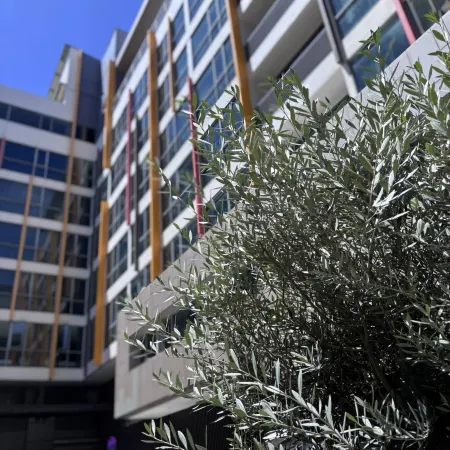 Bizotel Premier Hotel & Residence Отели рядом с достопримечательностью «Wat Mai Phiren»