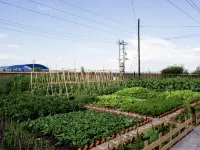 YunQi Retreat Guesthouse Hotels in Eerguna