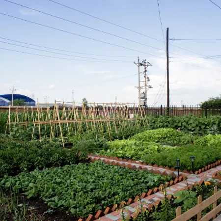 YunQi Retreat Guesthouse