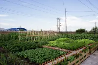 YunQi Retreat Guesthouse Hotels in Ergun