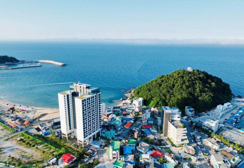 양양 더오션 바이오너스 호텔