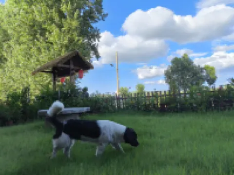 嵖岈山宋氏民宿