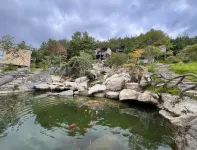 MOUNTAIN VILLA IN CLOUD - Bjergudsigt