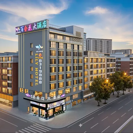 Intelligent Lily Hotel (Shaoyang Longhui Coach Terminal Branch)
