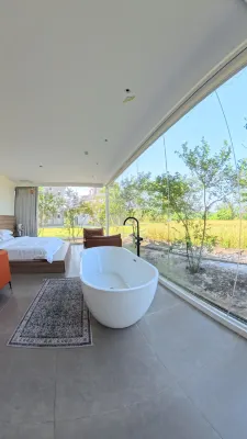 The Story of Oversea Chinese's Hometown Homestay Hotels in Kaiping