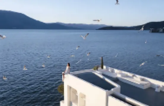 Elephant Study • Cliff Sea View Truffle Hot Spring Boutique Hotel (Fuxian Lake Scenic Area)