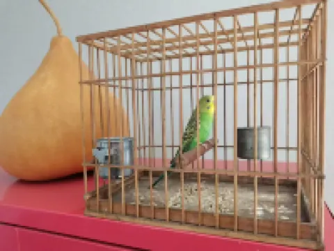 華利爾快捷賓館