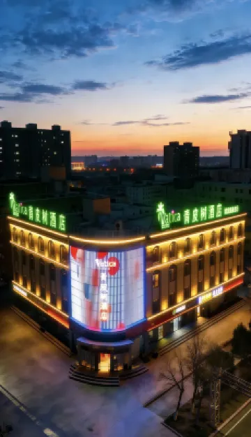 Vatica Hotel (Bachu County Tuanjie West Road)