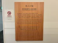 Henn na Resort＆Spa Kansai Airport - suối nước nóng