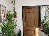 Confort plus Flat Hotels in Sale