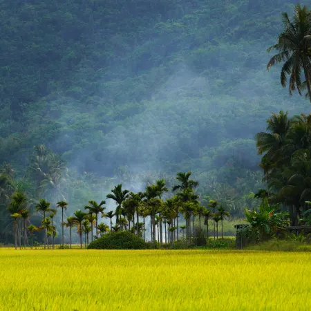 Wanning Yemeng Homestay (Riyue Bay Branch)
