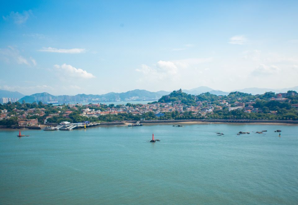 Koala 호스텔 객실 사진