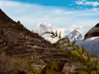 Feeling Mountain - Balcony