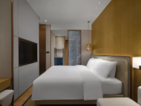 HILTON HAINAN OCEAN FLOWER ISLAND Hotels in Danzhou