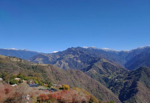 Sunnydale B&B 시설