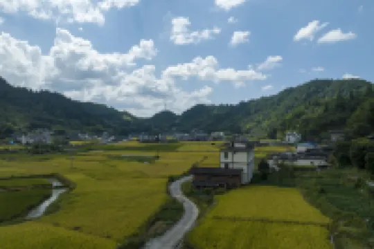 德化曾阪村藝術療愈基地