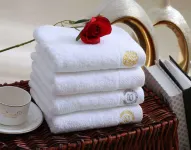 Champs Forest Resort Hotel(Shangri-La Bus Terminal) - Business